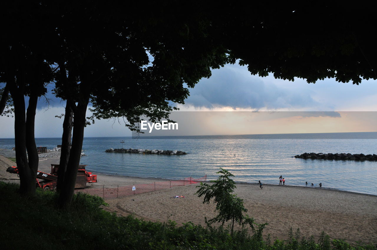 SCENIC VIEW OF PALM TREES ON BEACH