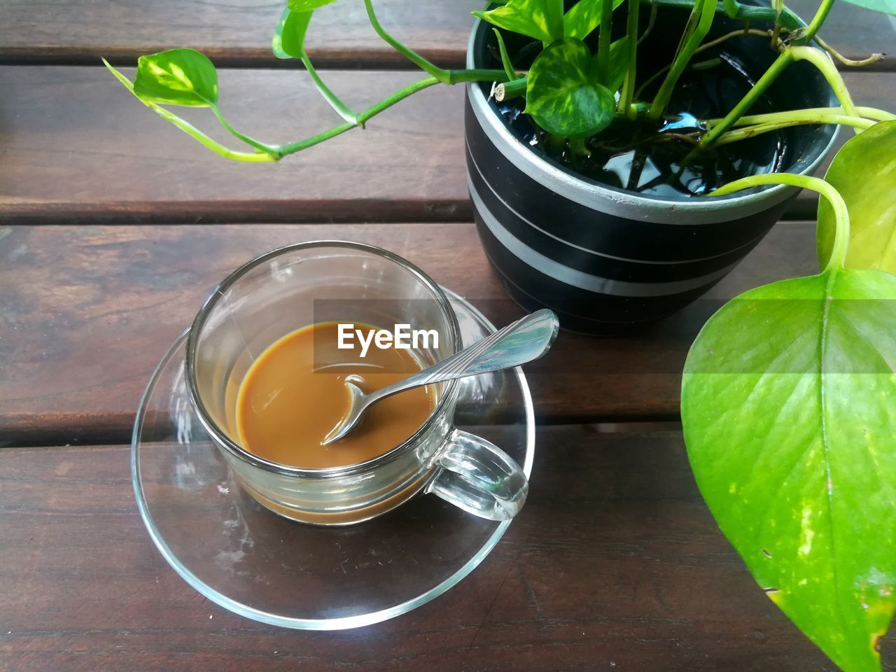 CLOSE-UP OF DRINK ON TABLE