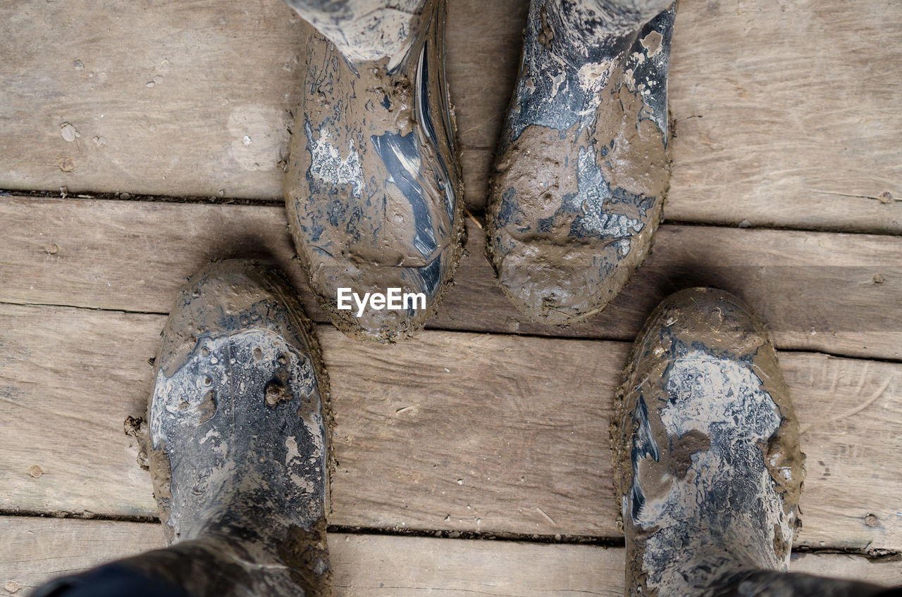 Low section of men with dirty rubber boots standing on wooden floor