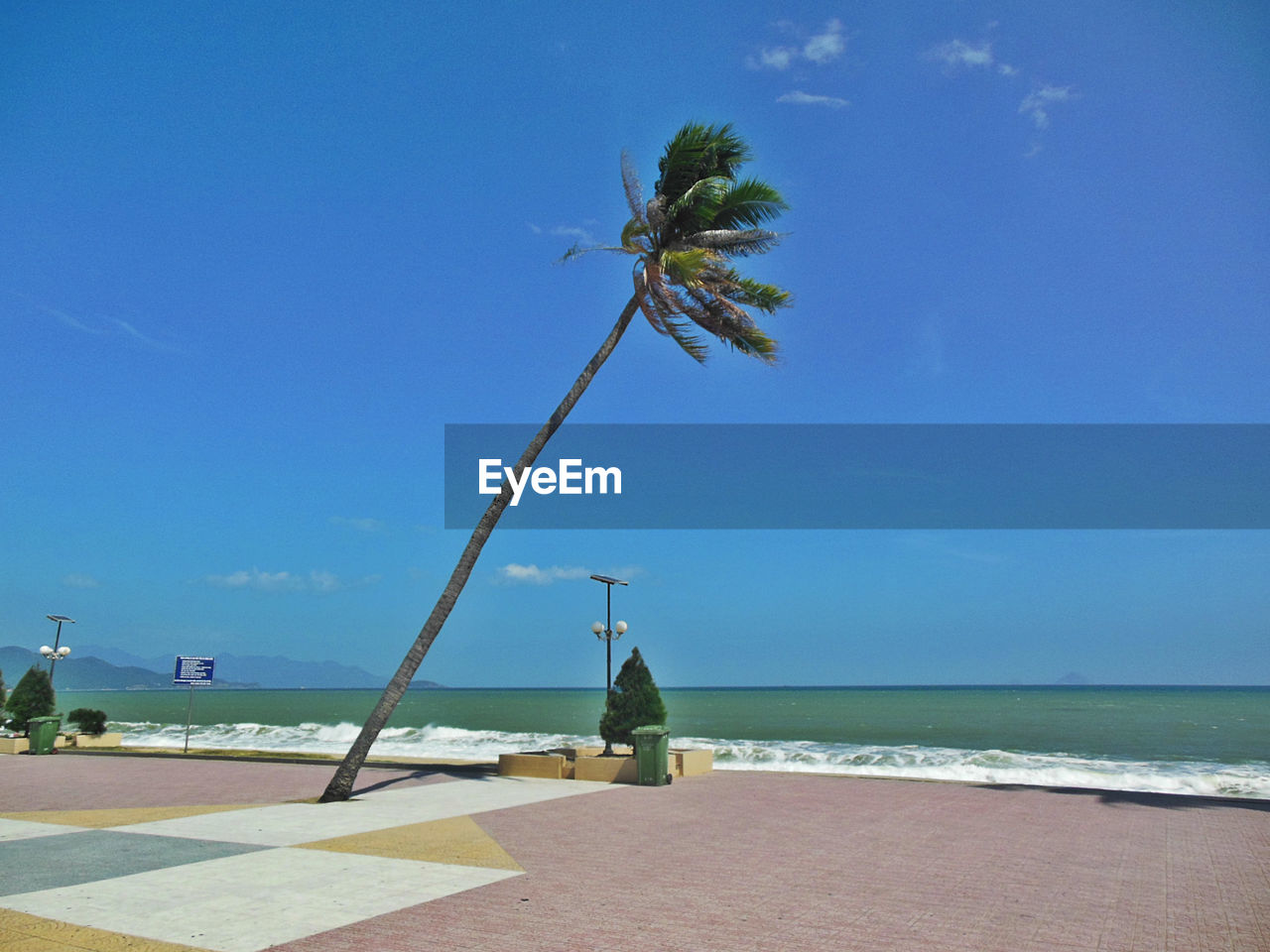 PALM TREE BY SEA AGAINST BLUE SKY