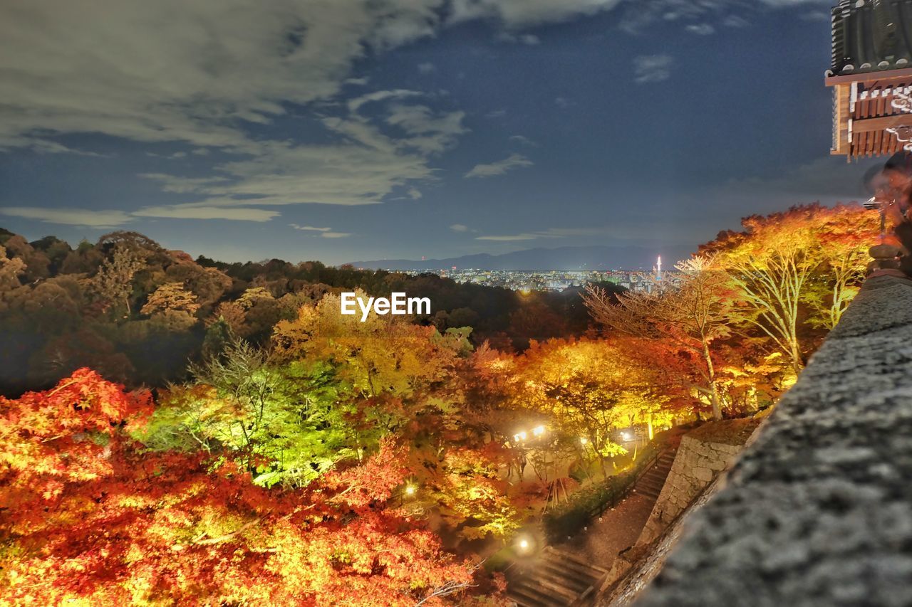 Trees in city against sky during autumn
