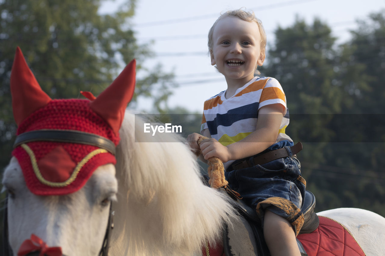 Portrait of happy boy sitting on horse