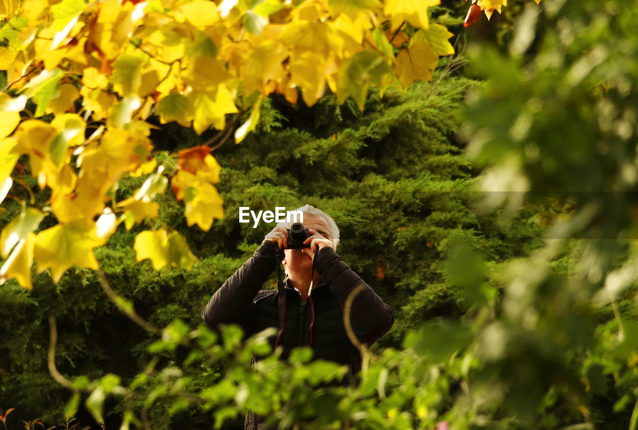 Man with camera seen through plants outdoors