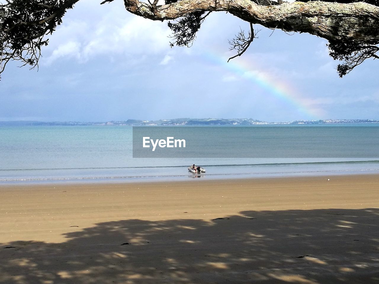 Fun in the sun, at hatfields beach, north auckland, new zealand.