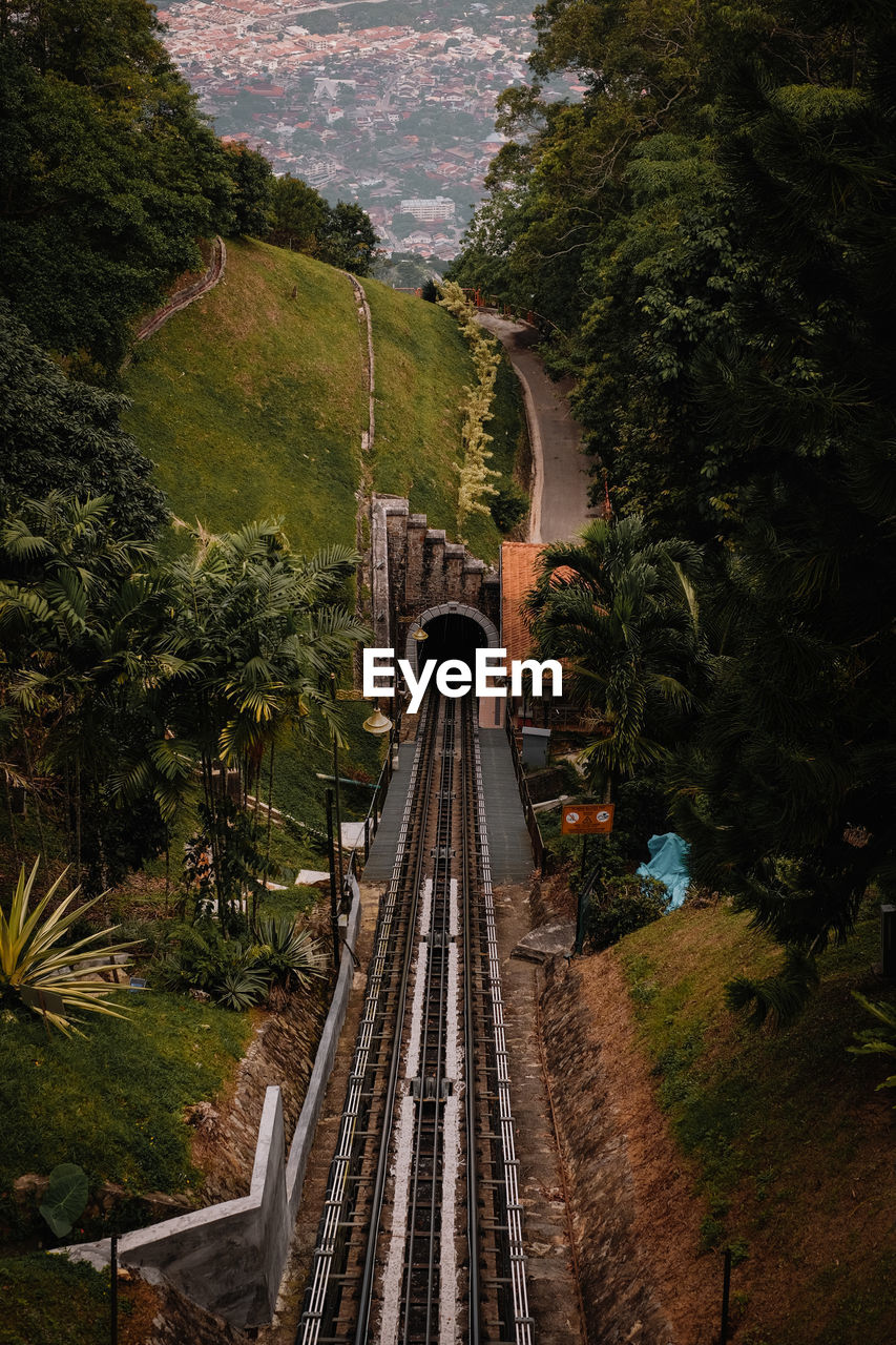 High angle view of railroad tracks amidst trees