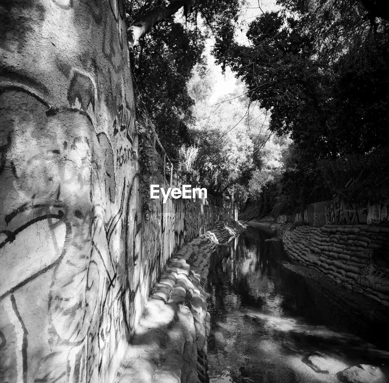 SCENIC VIEW OF RIVER FLOWING THROUGH FOREST