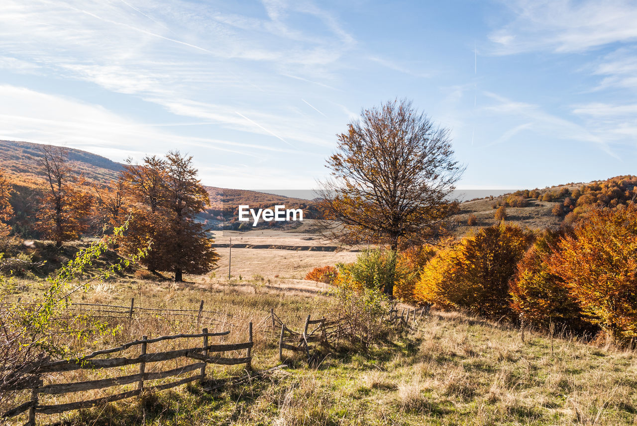 Scenic view of field during autumn against sky