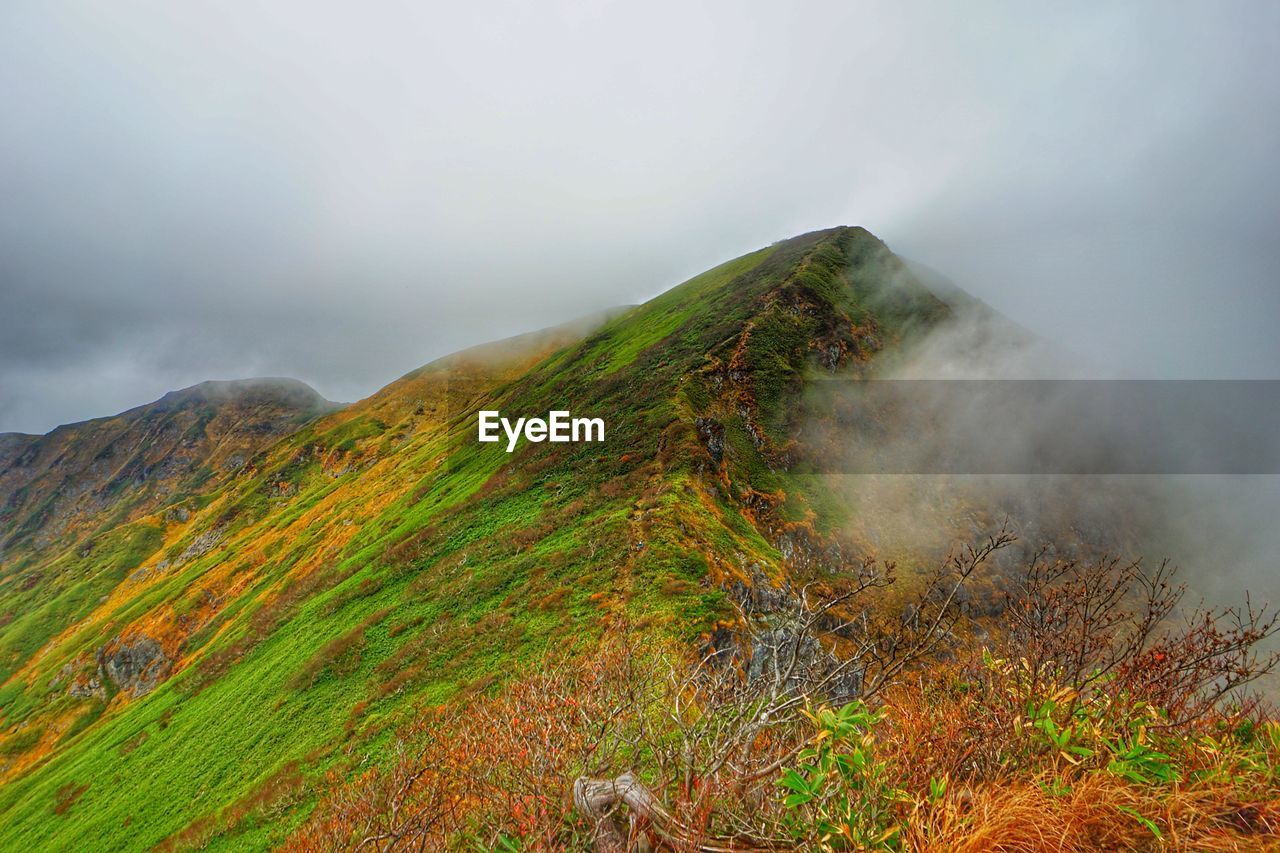 SCENIC VIEW OF GREEN LAND AGAINST SKY