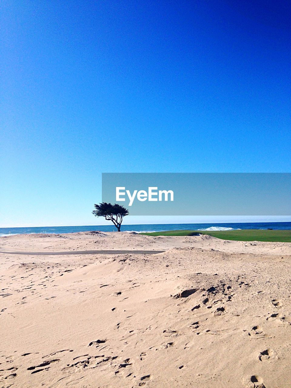 Scenic view of beach against blue sky