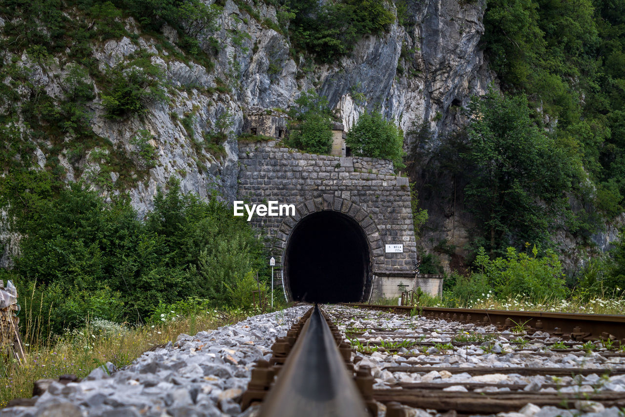 Railroad track amidst trees and tunnel