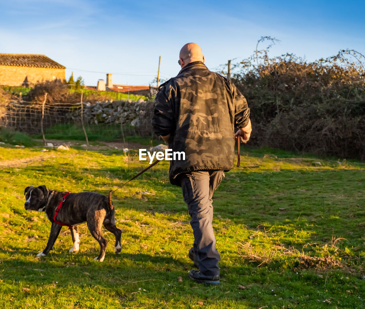 Man with dog on grass against trees