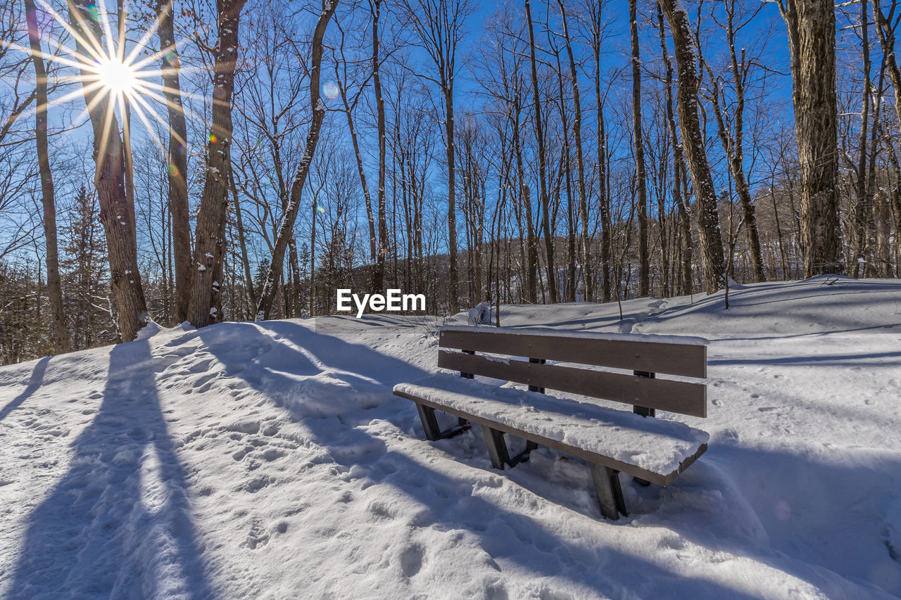winter, snow, cold temperature, sunlight, tree, nature, plant, bench, tranquility, beauty in nature, land, tranquil scene, scenics - nature, seat, day, shadow, no people, bare tree, lens flare, sky, freezing, non-urban scene, sunny, white, frozen, landscape, environment, sun, outdoors, field, covering, sunbeam, tree trunk, trunk, wood, park bench, blue, absence, idyllic, park, forest, deep snow, empty
