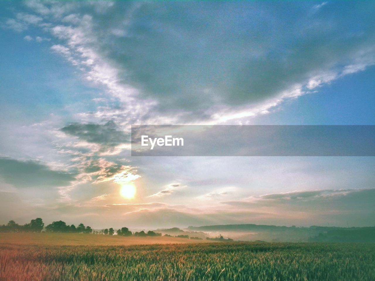 Scenic view of agricultural field against sky during sunset