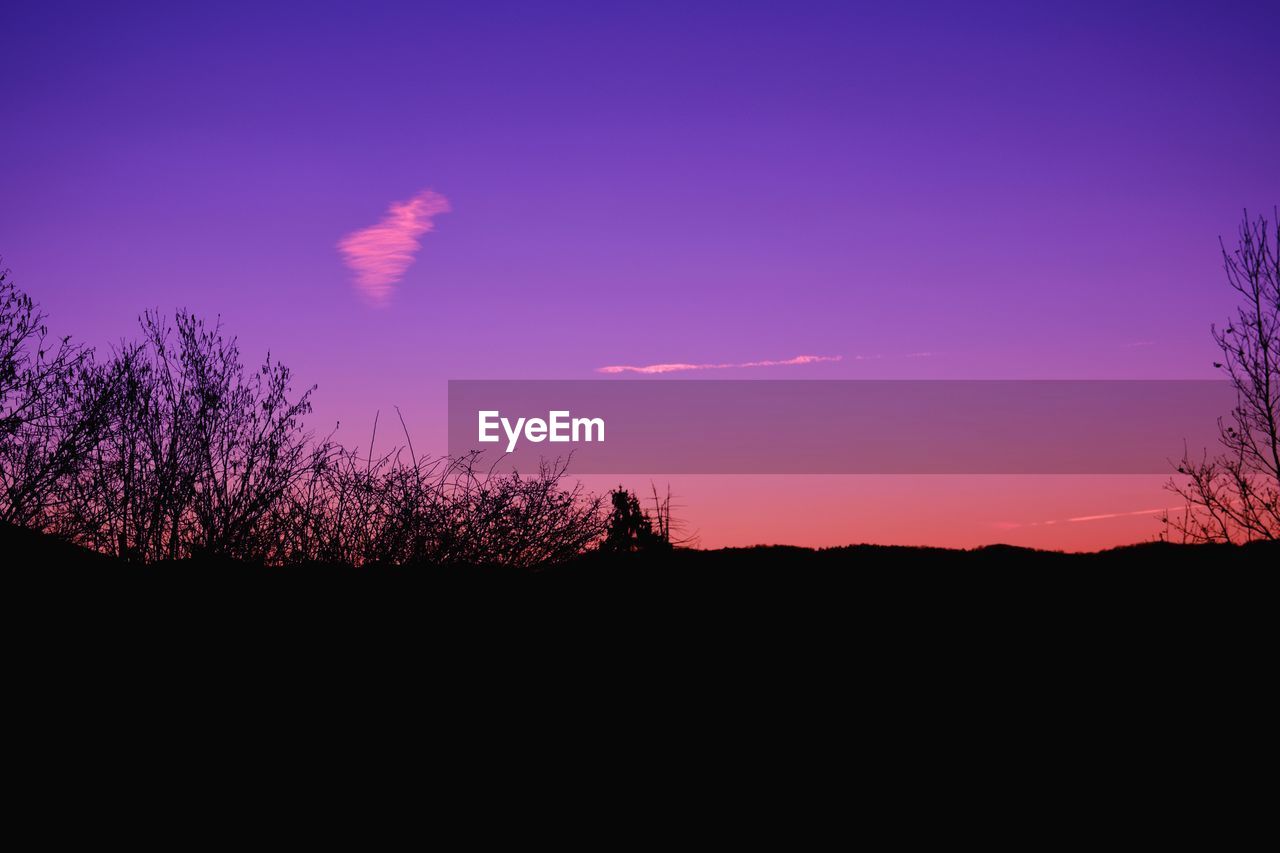 SILHOUETTE TREES ON LANDSCAPE AGAINST SKY AT SUNSET