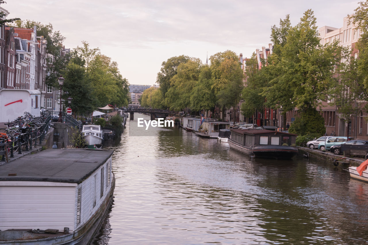 Canal amidst trees in city