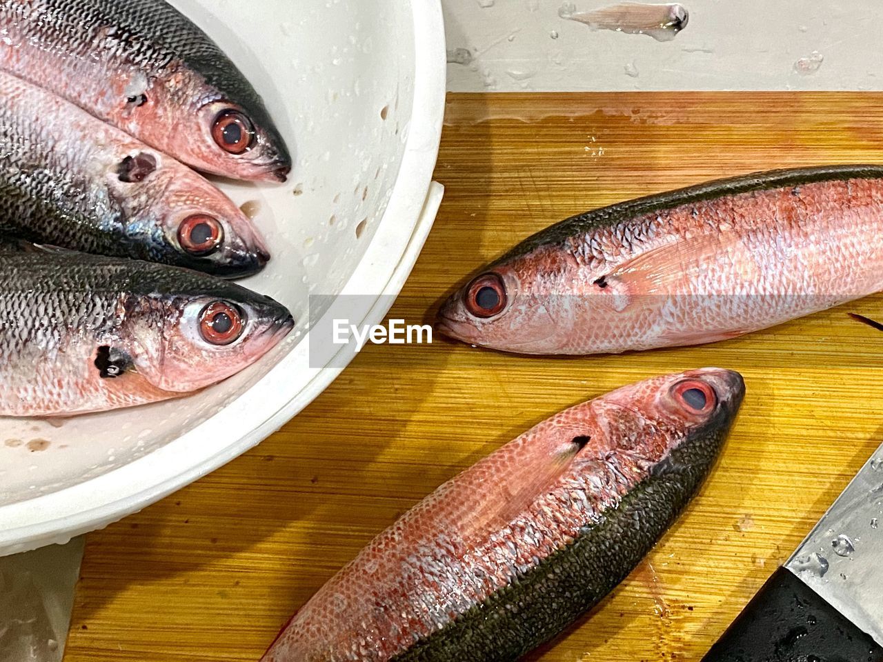 CLOSE-UP OF FISH FOR SALE