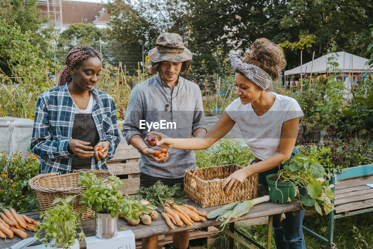 Male and female farmers selling vegetables in organic market