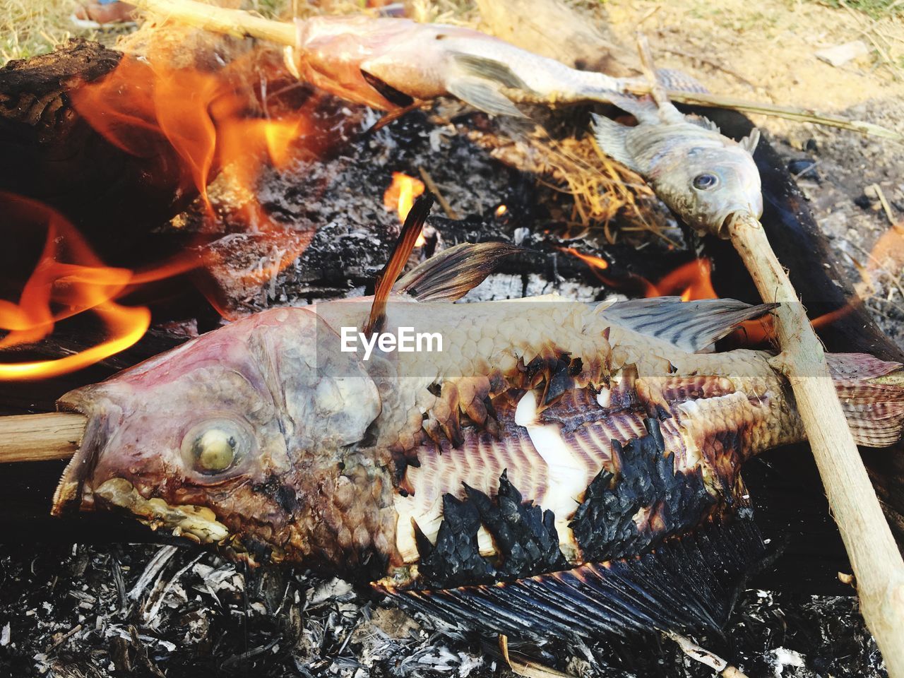 High angle view of fish on barbecue