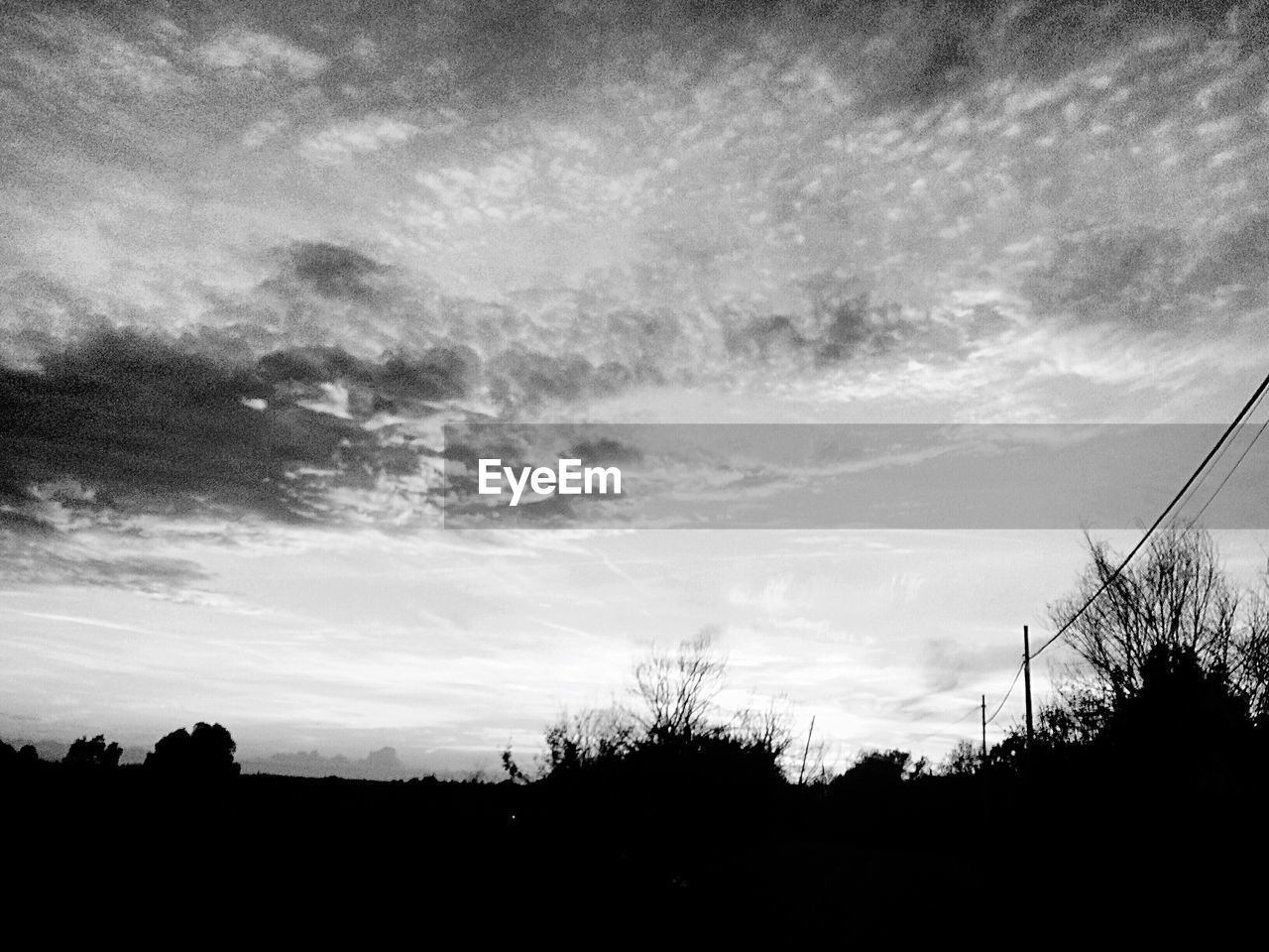 LOW ANGLE VIEW OF SILHOUETTE TREE AGAINST SKY