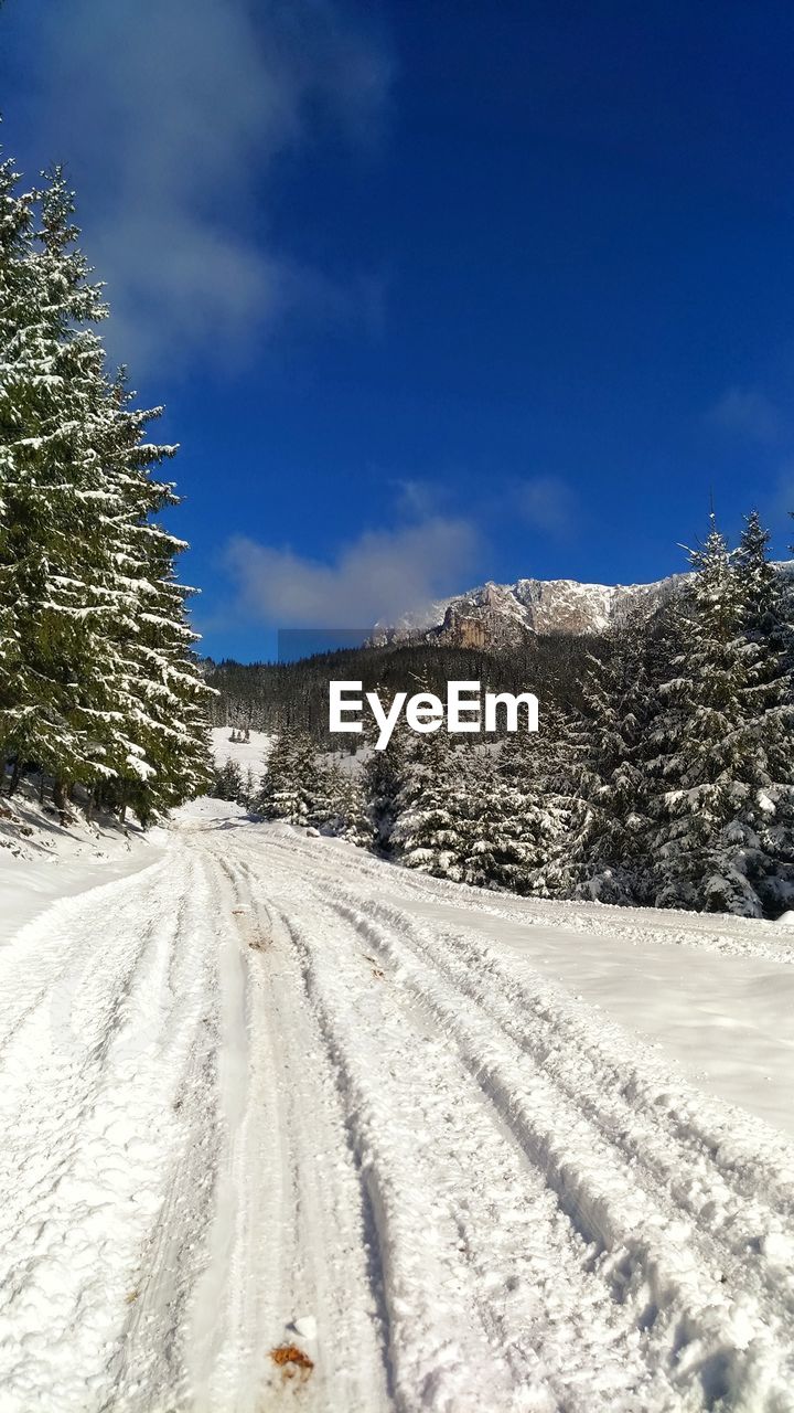 SNOW COVERED FIELD BY TREES AGAINST SKY