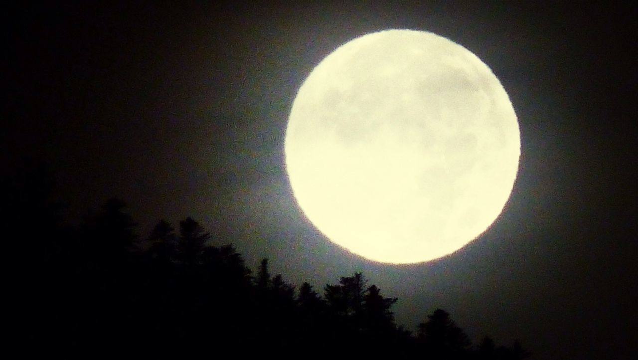 LOW ANGLE VIEW OF MOON IN SKY