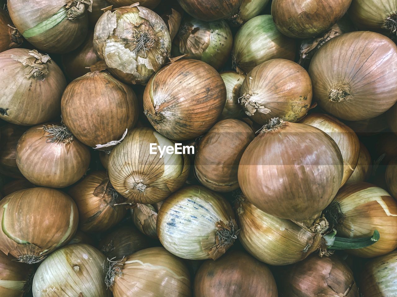 FULL FRAME SHOT OF EGGS