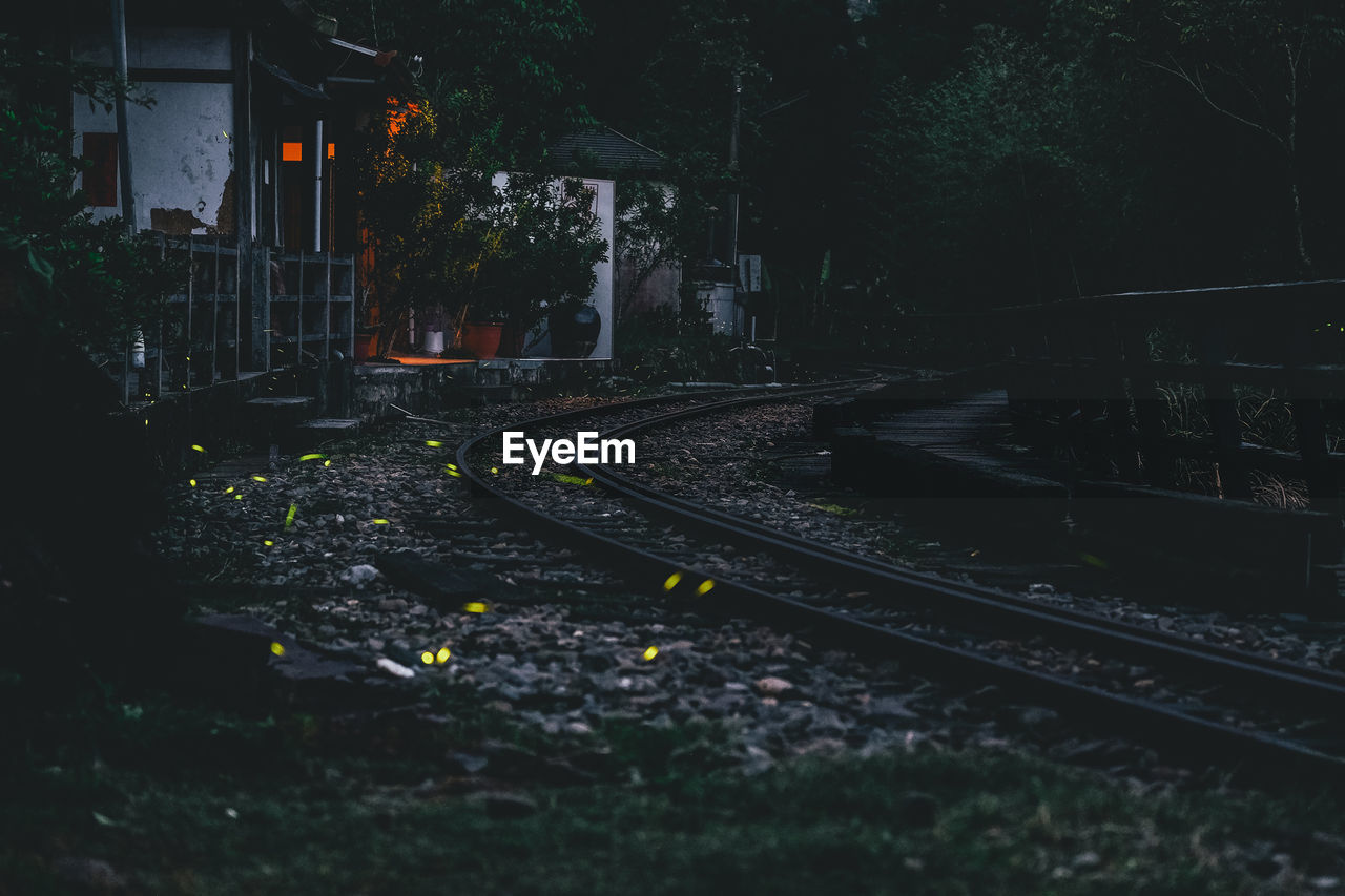 RAILROAD TRACK AMIDST TREES IN CITY