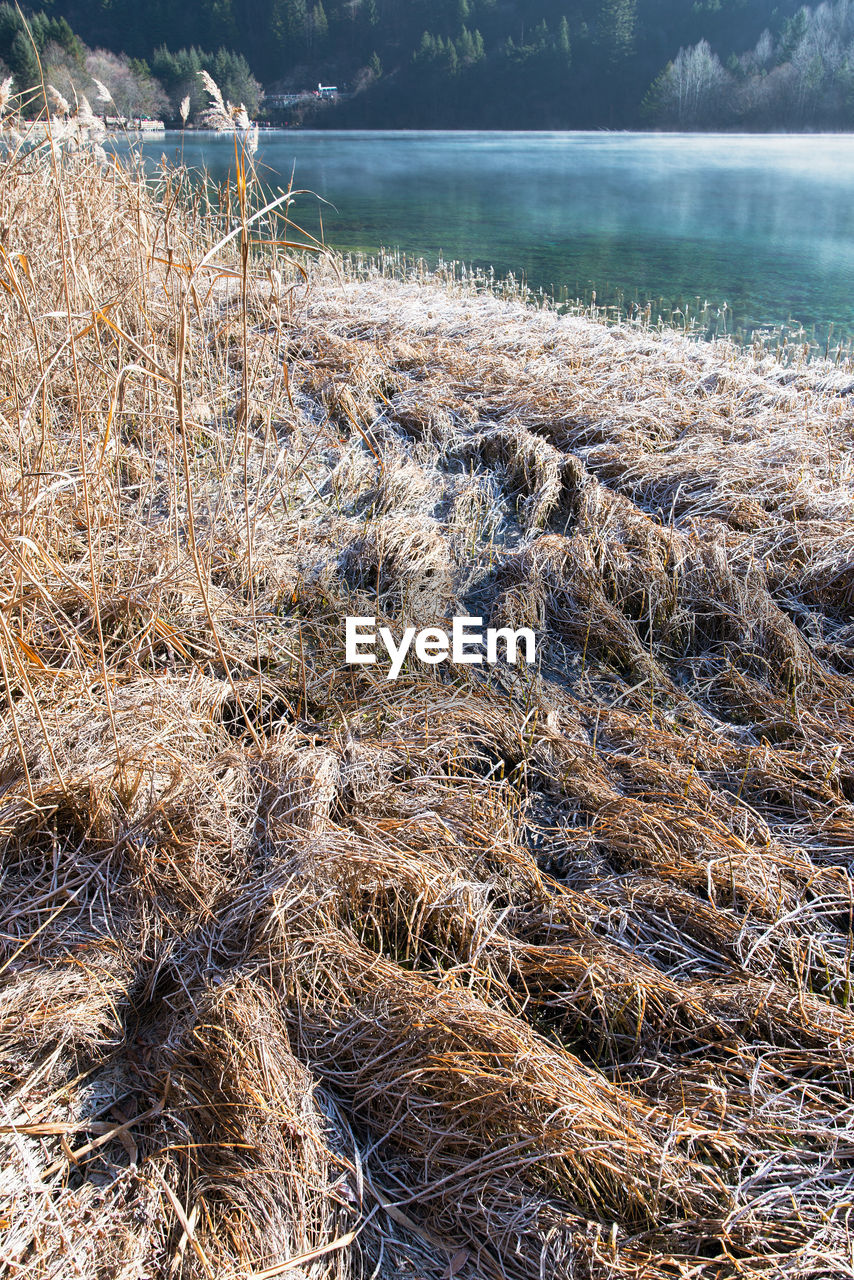 CLOSE-UP OF RIPPLED WATER