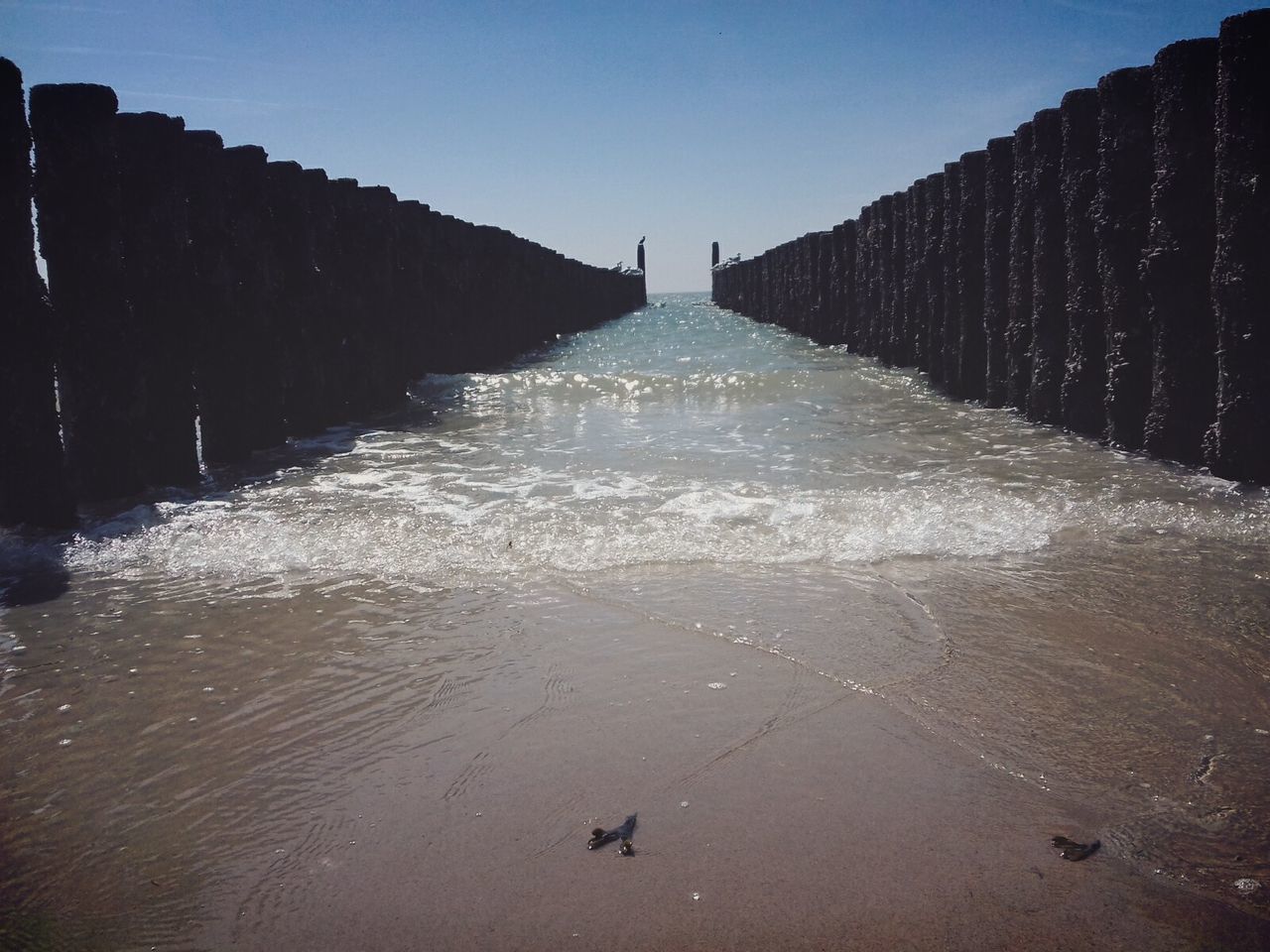 SEA AGAINST CLEAR SKY