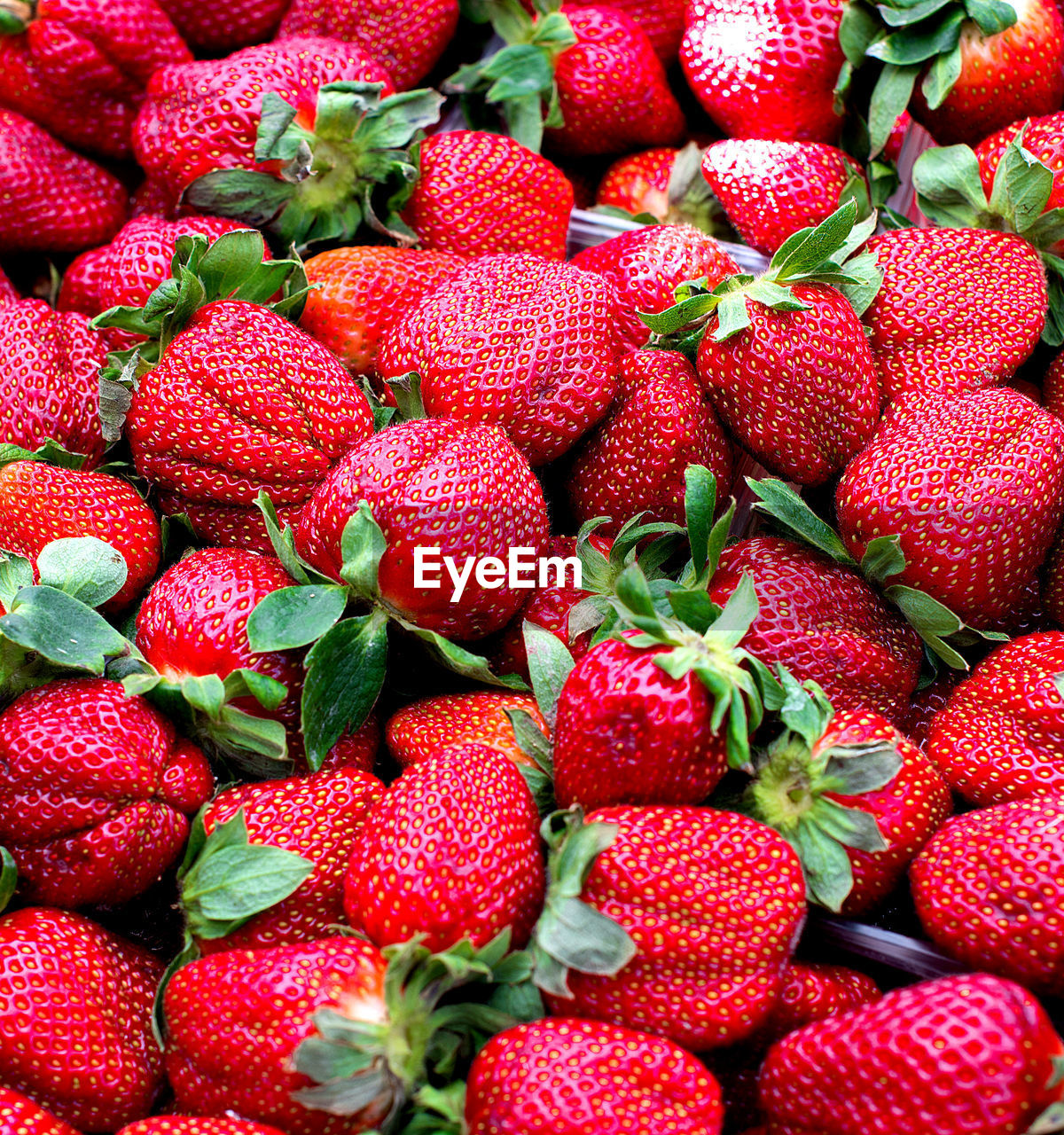 CLOSE UP OF STRAWBERRIES