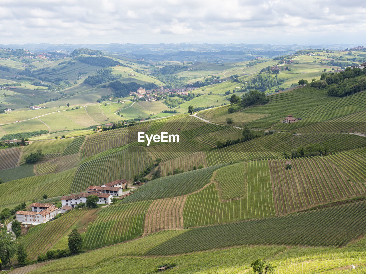 Landscape of langhe and its vineyards