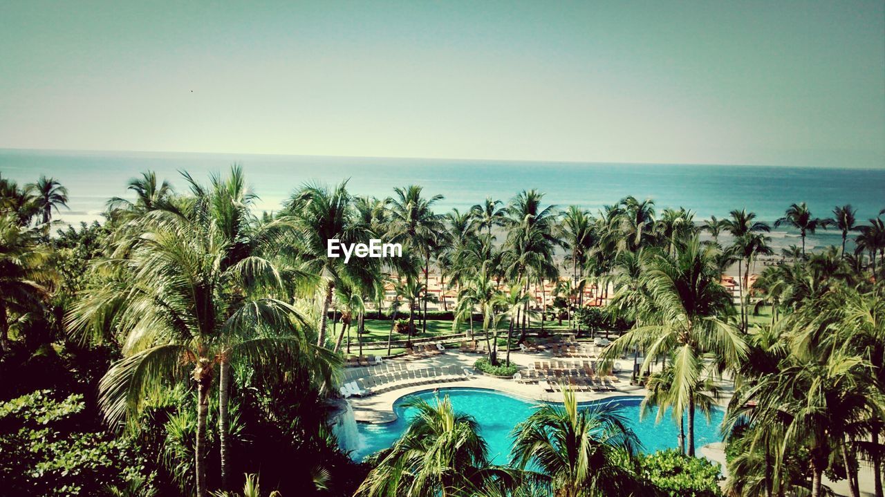 High angle view of swimming pool surrounded by palm trees in front of sea against sky