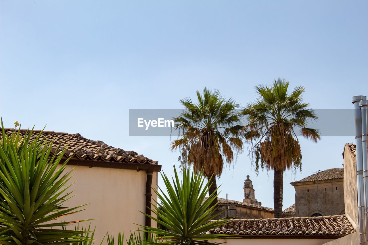 A panorama of roofs, with two palm trees that leave the cathedral of ragusa ibla in the center