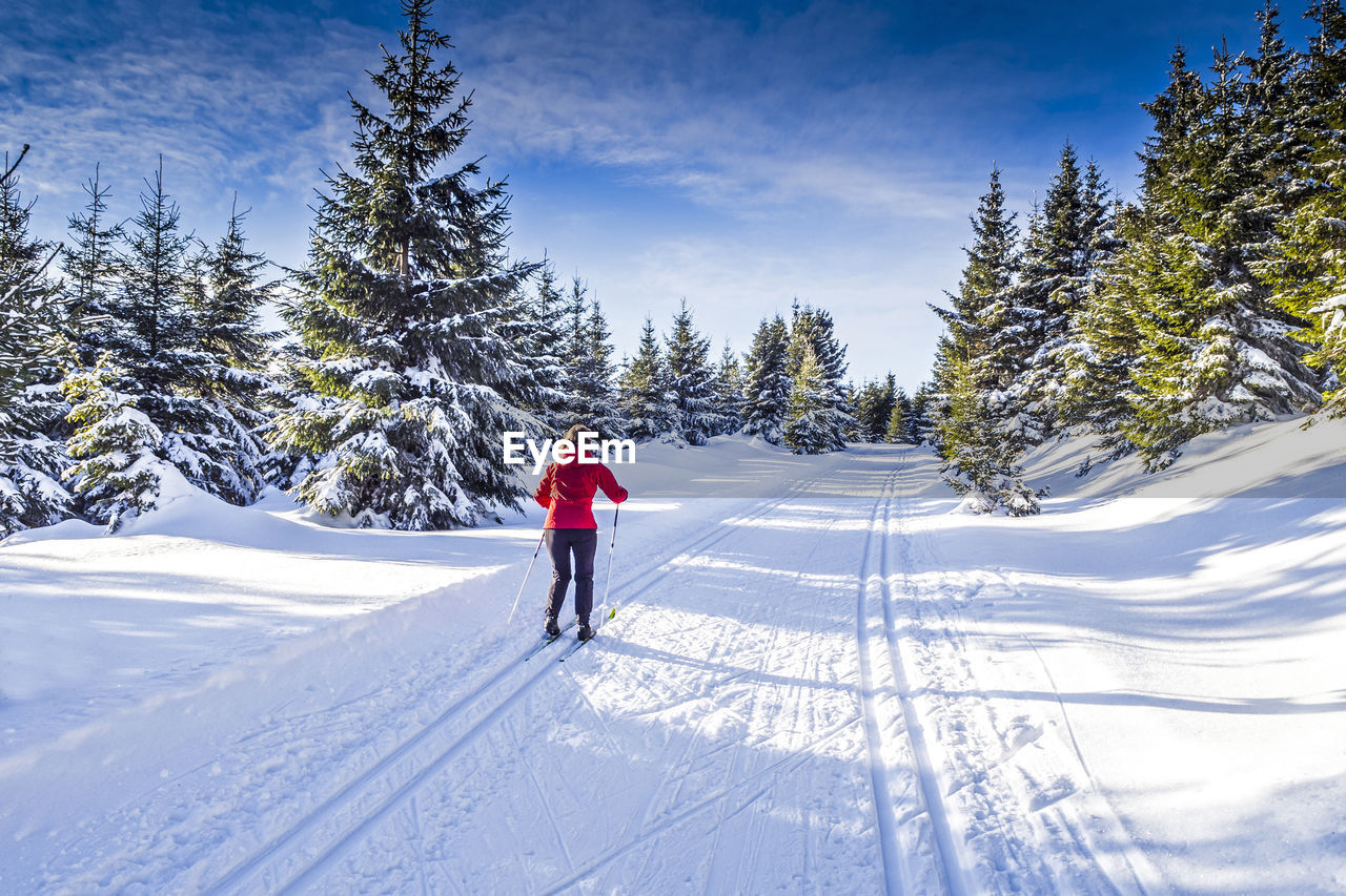 Man walking on snow covered trees against sky