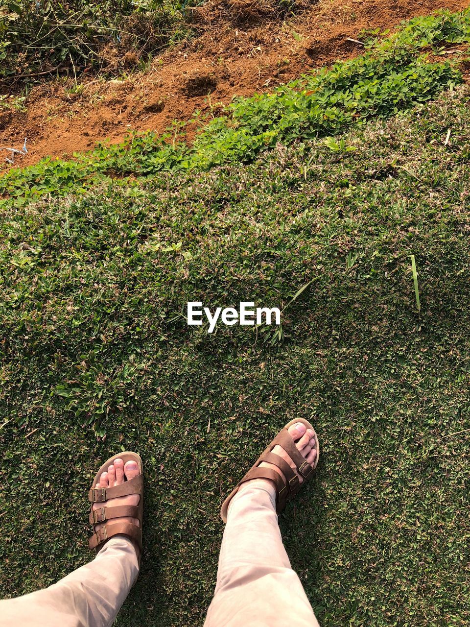 Low section of person standing on grass