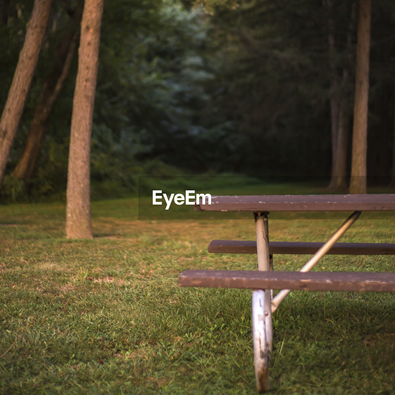 EMPTY BENCH ON FIELD