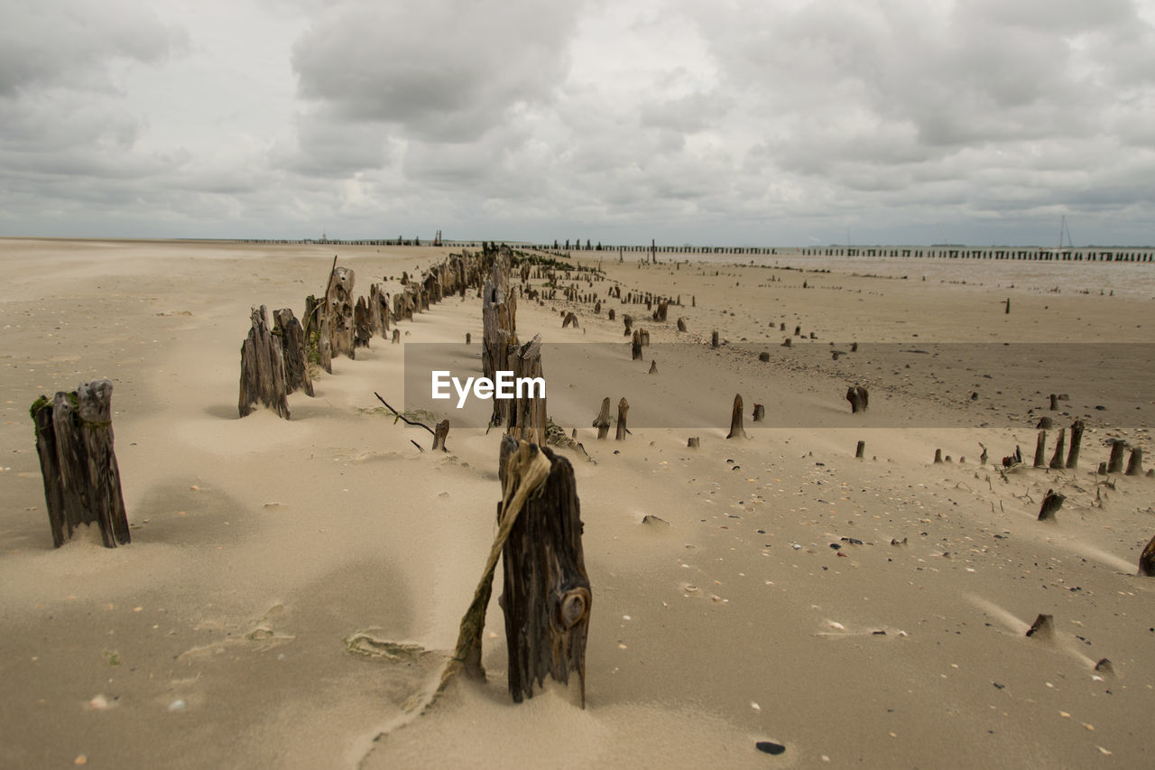 Wooden posts in sand