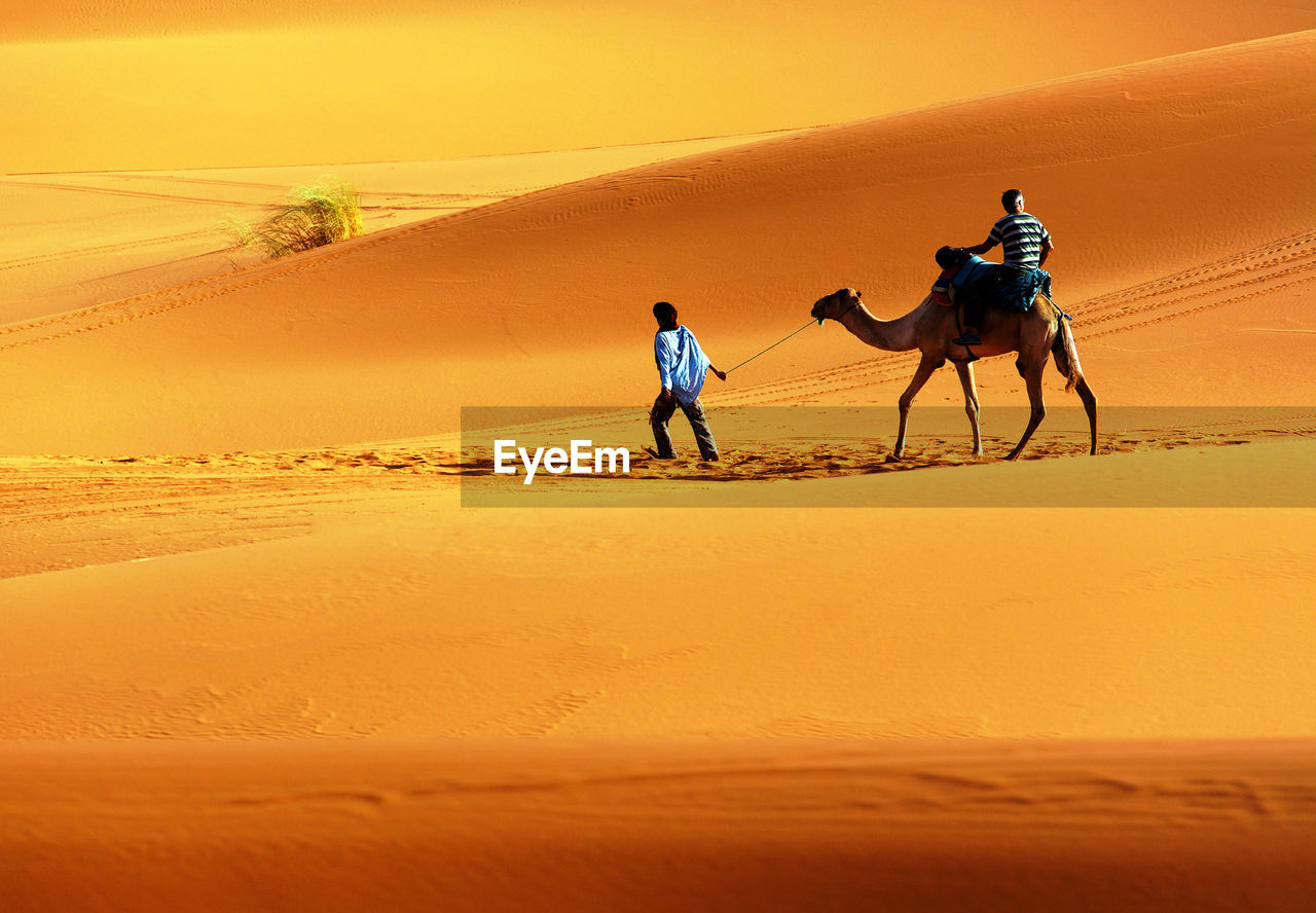People with camel in desert