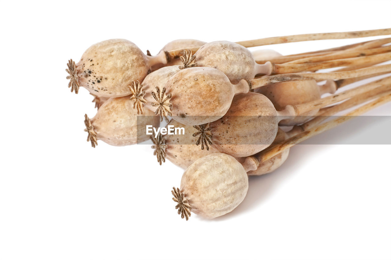 HIGH ANGLE VIEW OF BREAD ON WHITE BACKGROUND