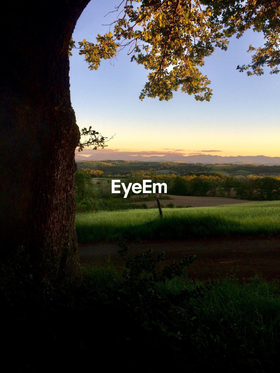 SCENIC VIEW OF LAND AGAINST SKY