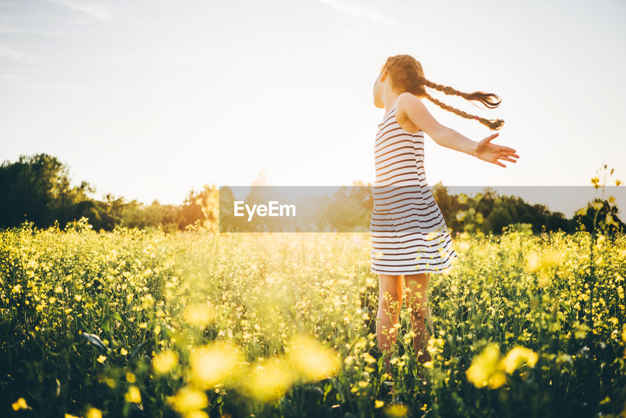 rear view of woman standing amidst yellow flowers on field