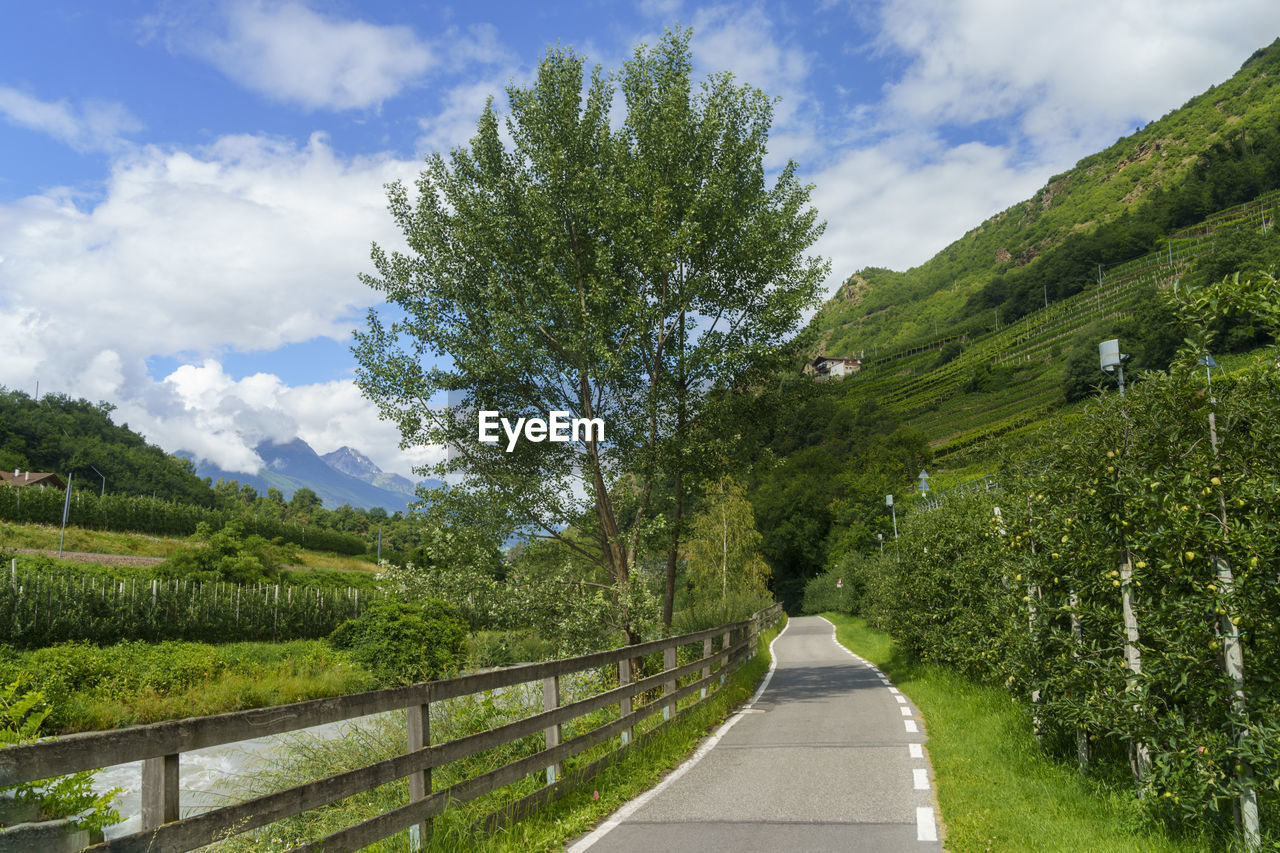 ROAD AMIDST TREES ON LANDSCAPE AGAINST SKY