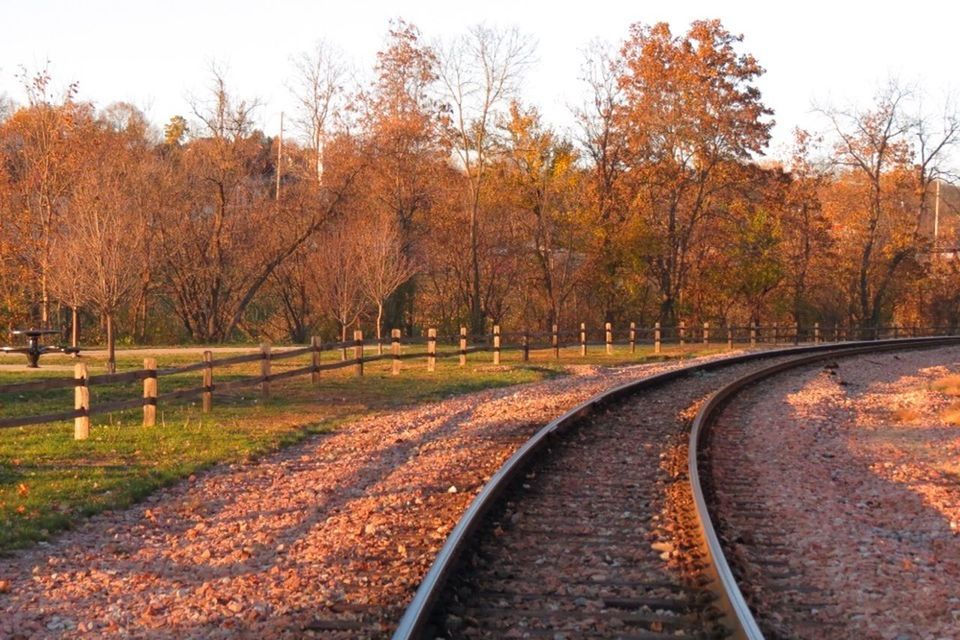 RAILROAD TRACKS IN FOREST