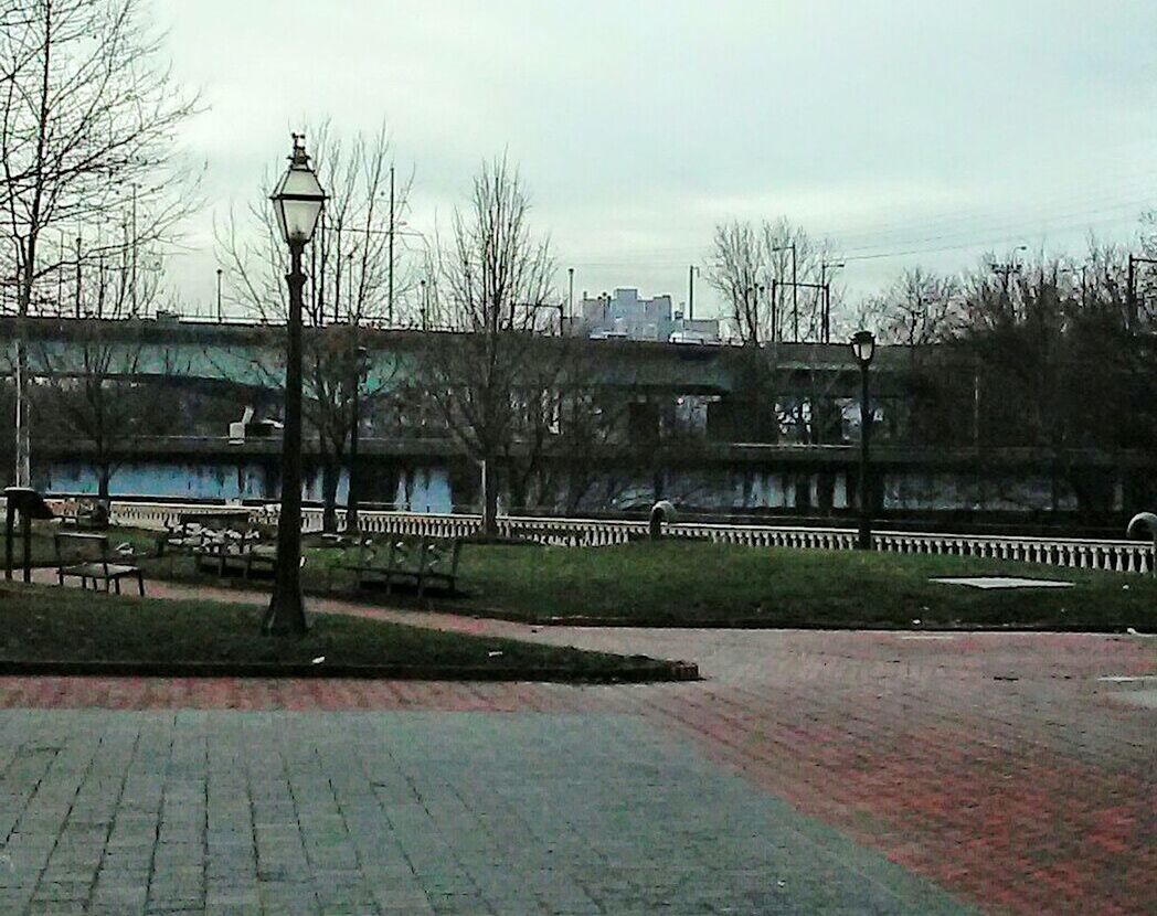 VIEW OF BARE TREES AGAINST SKY