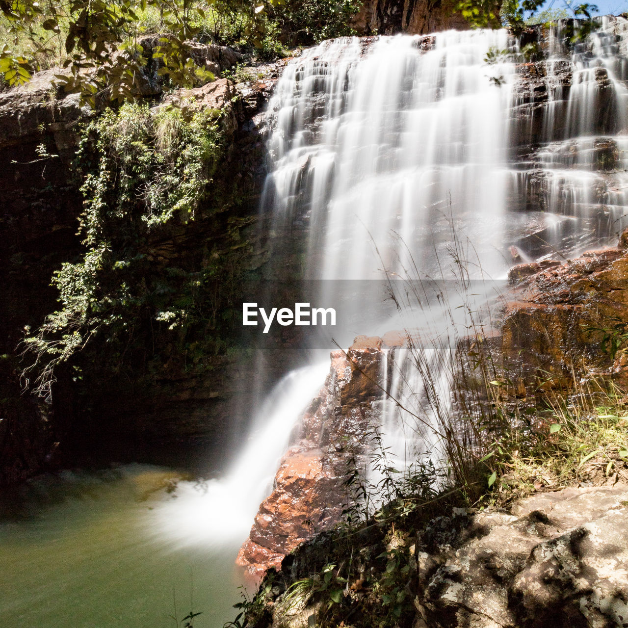 VIEW OF WATERFALL IN FOREST