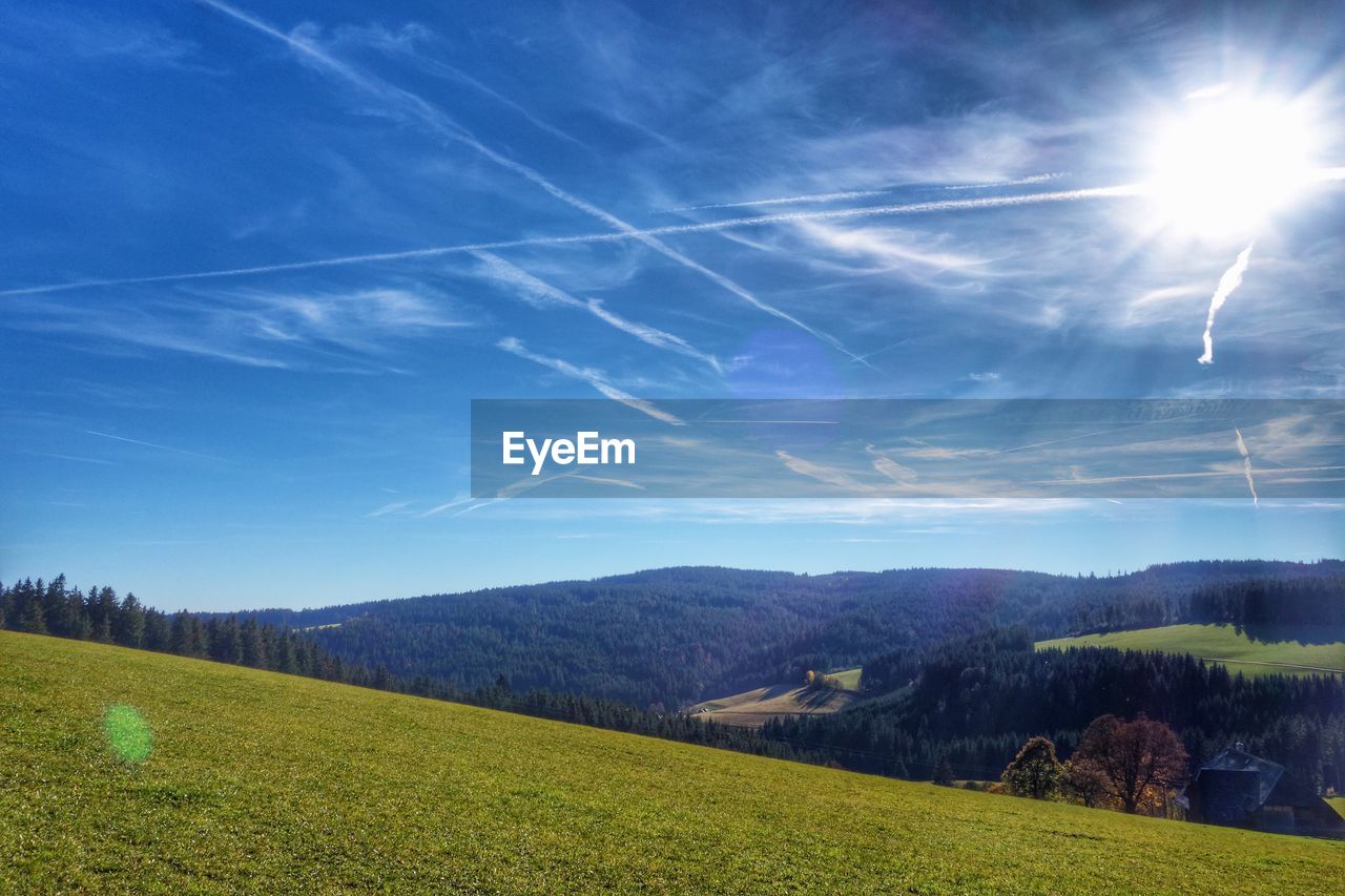 Scenic view of agricultural field against blue sky