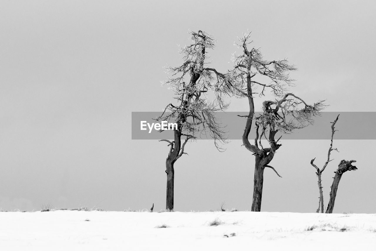 Winter landscape in the high fens in belgium