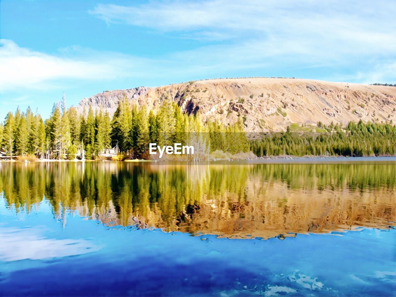 SCENIC VIEW OF LAKE AND TREES AGAINST SKY
