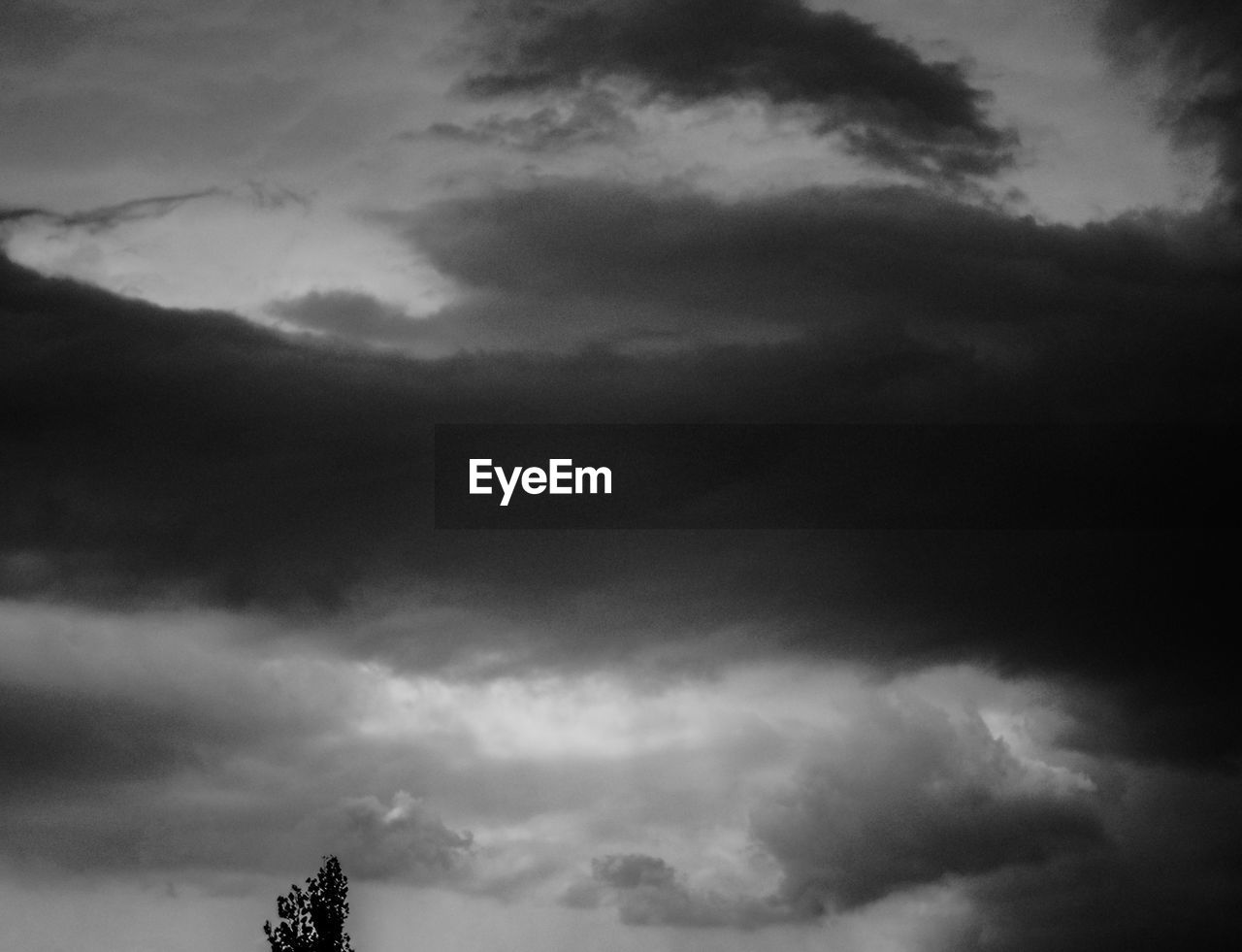 LOW ANGLE VIEW OF STORM CLOUDS OVER SILHOUETTE OF TREES