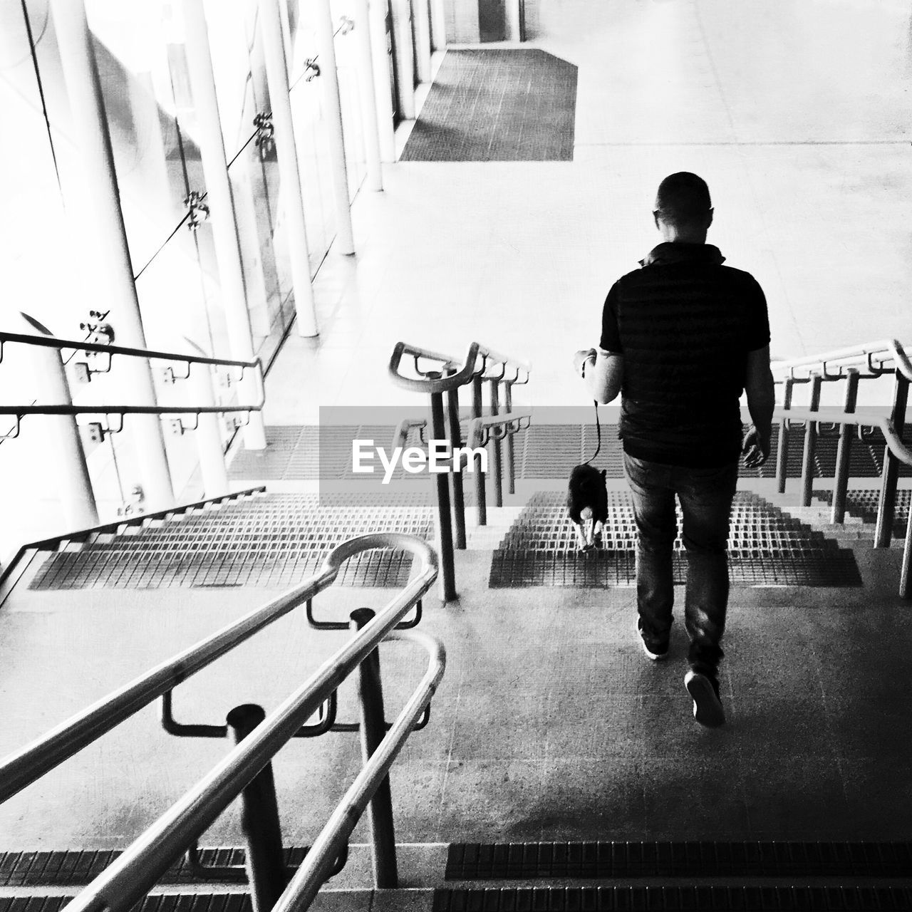 Rear view of man walking on steps with dog